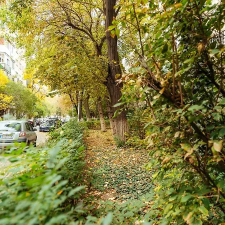 Woody - Cozy And Quiet Place Near Moghioros Park * Bucareste